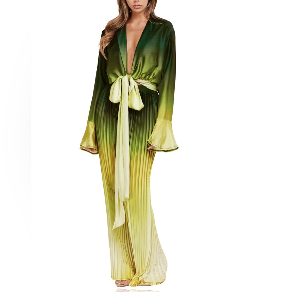 🌿 Pâli de Jalousie 🌿 Pleated Ombré Pant Set (L)